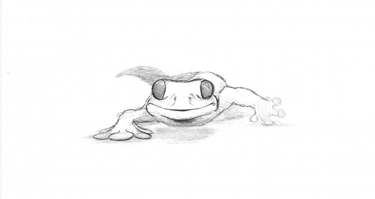 Storyboard Gecko